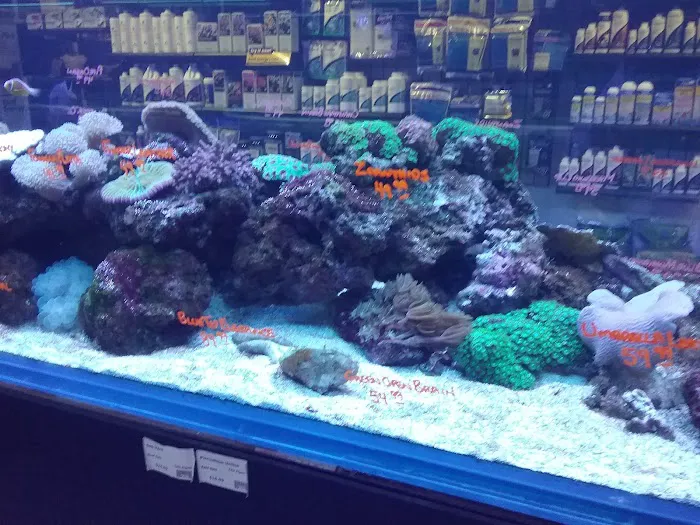 Fish Room Picture 9