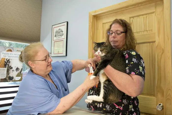 Happy Tails Veterinary Hospital Picture 1