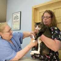 Happy Tails Veterinary Hospital ico