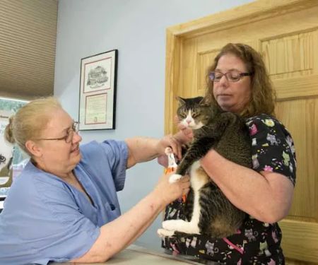 Happy Tails Veterinary Hospital