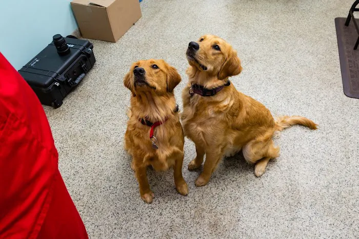 Happy Tails Veterinary Hospital Picture 4