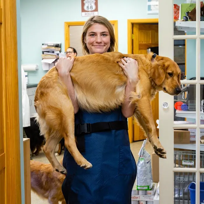 Happy Tails Veterinary Hospital Picture 2
