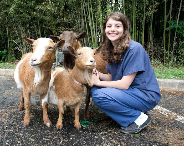 Happy Tails Veterinary Hospital Picture 9