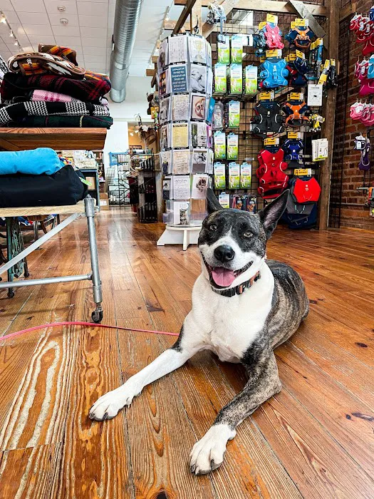 Unleashed Downtown Durham Picture 8