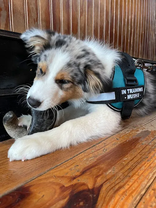 Unleashed Downtown Durham Picture 4