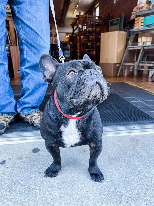 Unleashed Downtown Durham Picture 7