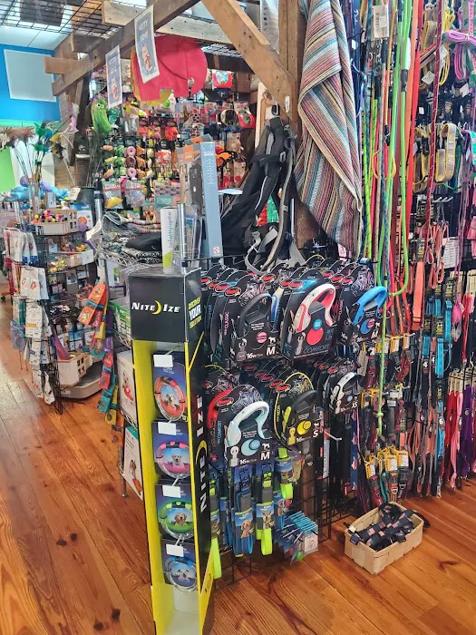 Unleashed Downtown Durham Picture 6