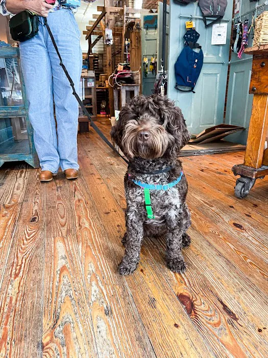 Unleashed Downtown Durham Picture 3