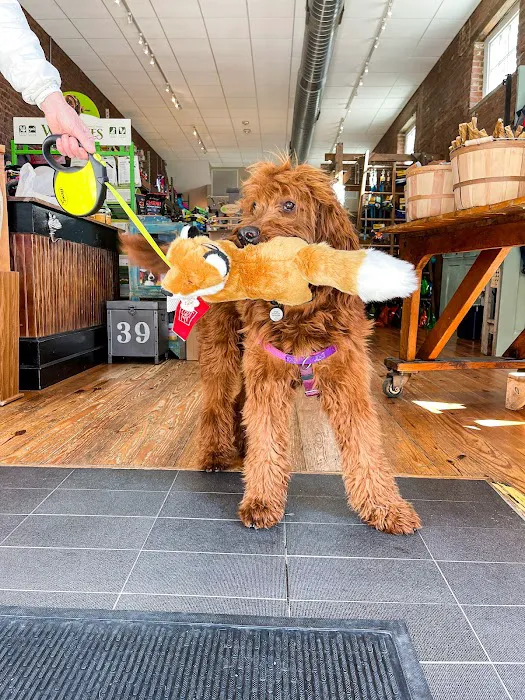 Unleashed Downtown Durham Picture 10