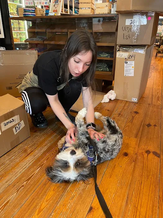 Unleashed Downtown Durham Picture 9