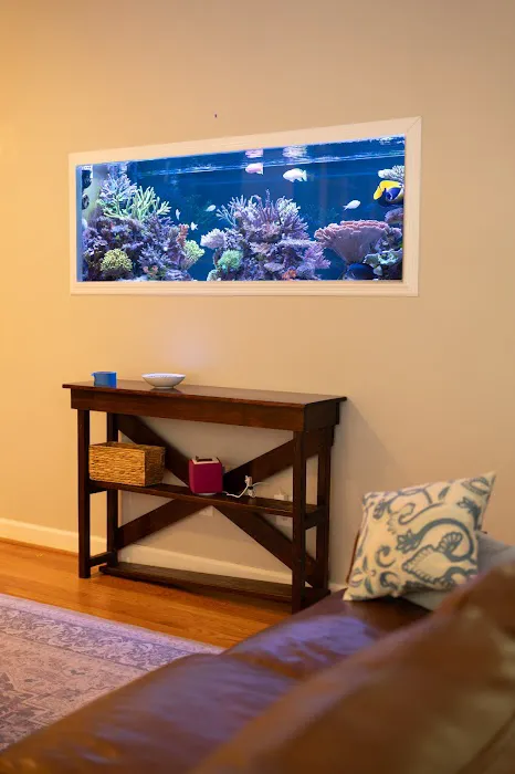 AquaFluence Picture 1