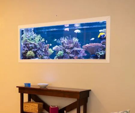 AquaFluence