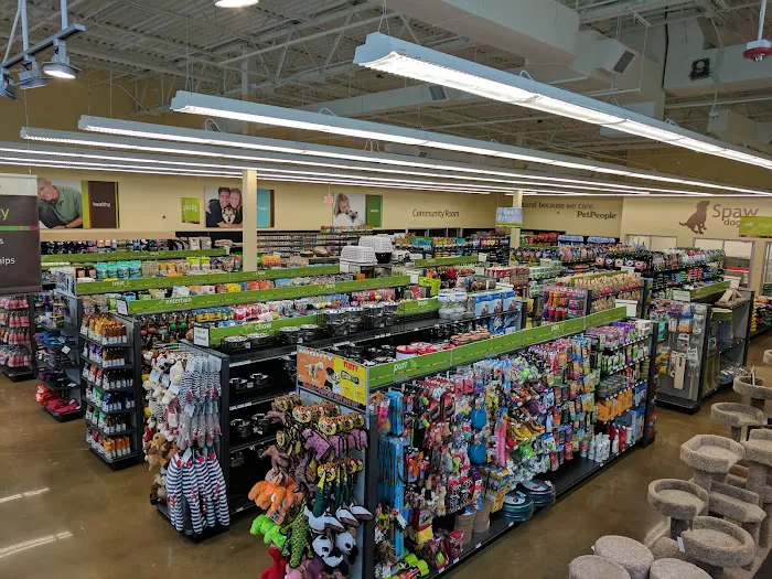 Hollywood Feed Picture 3