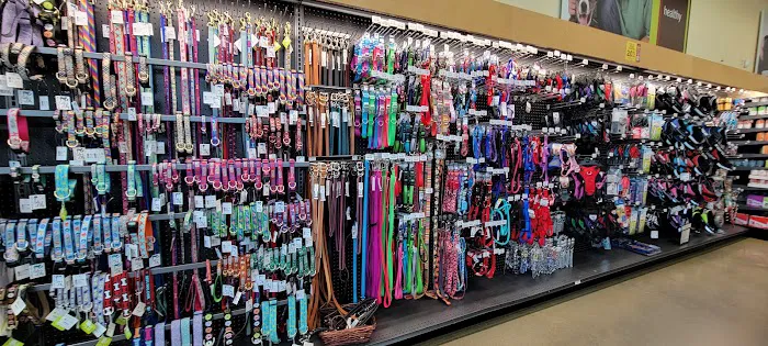 Hollywood Feed Picture 1