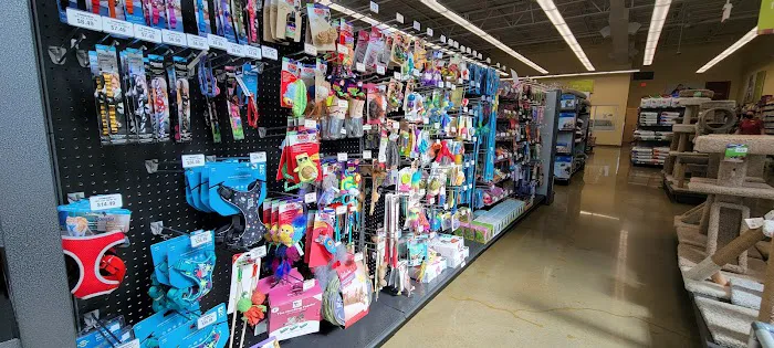 Hollywood Feed Picture 8