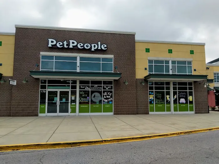 Hollywood Feed Picture 10