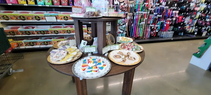 Hollywood Feed Picture 9