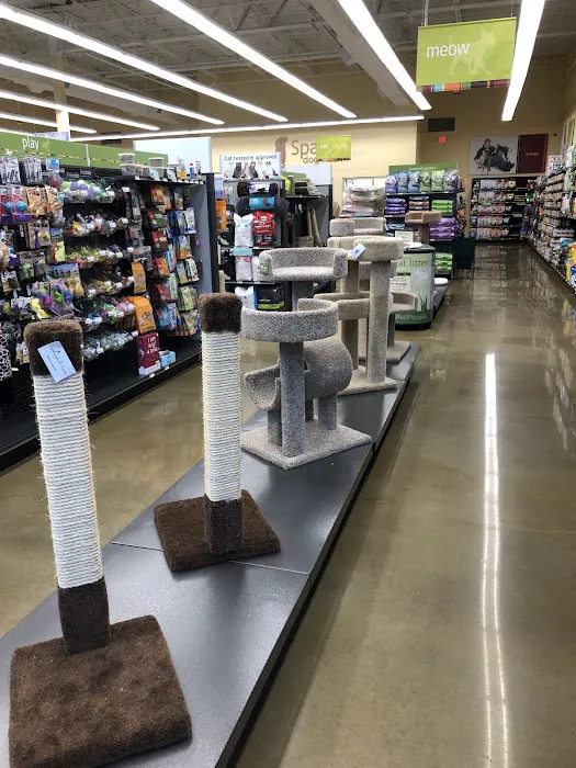 Hollywood Feed Picture 6