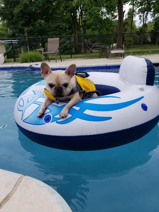 Little Silver Animal Hospital Picture 7