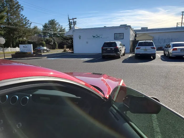 Little Silver Animal Hospital Picture 8