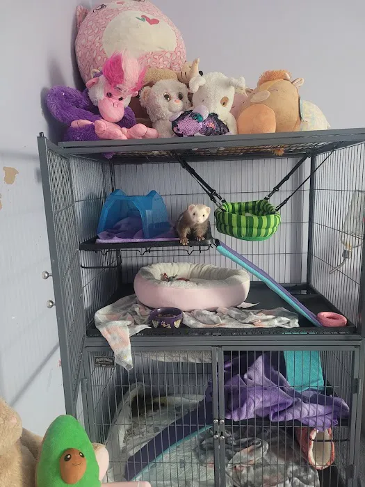 Pet Supplies Plus Raleigh Picture 5