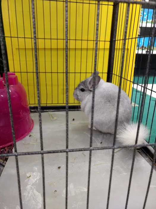 Pet Supplies Plus Raleigh Picture 2