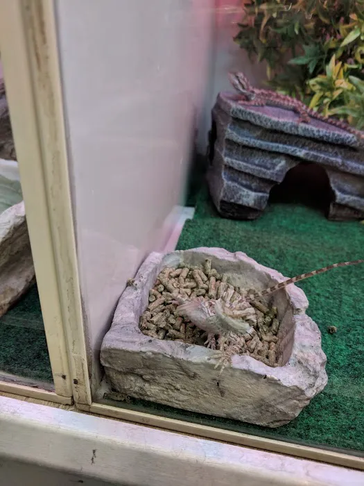 Pet Supplies Plus Raleigh Picture 10