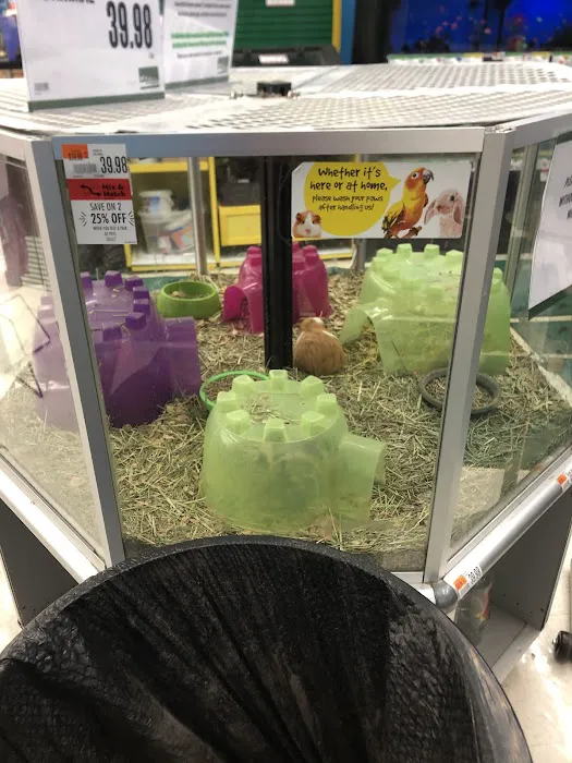 Pet Supplies Plus Raleigh Picture 3