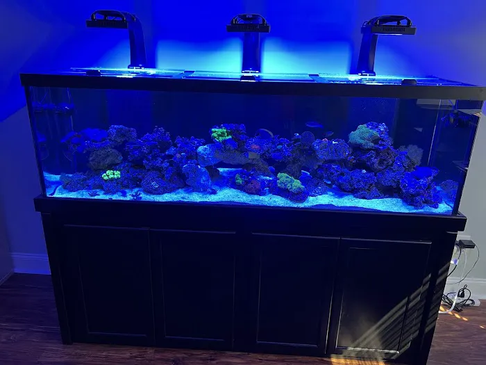 Aquatic Creations Group Inc Picture 2