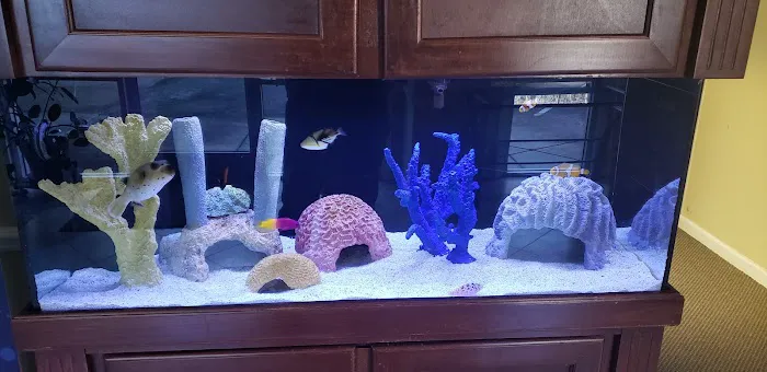 Aquatic Creations Group Inc Picture 5