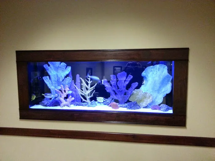 Aquatic Creations Group Inc Picture 7