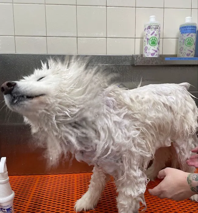 Hollywood Feed Picture 1