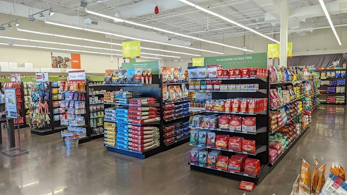 Hollywood Feed Picture 2