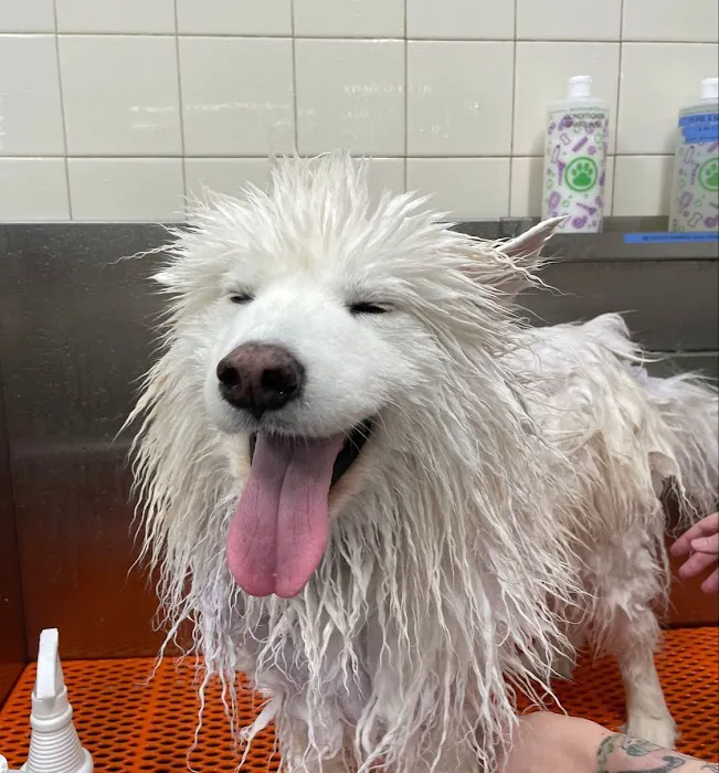 Hollywood Feed Picture 10