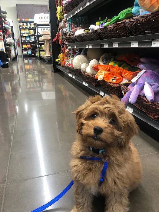 Hollywood Feed Picture 5