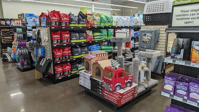 Hollywood Feed Picture 3