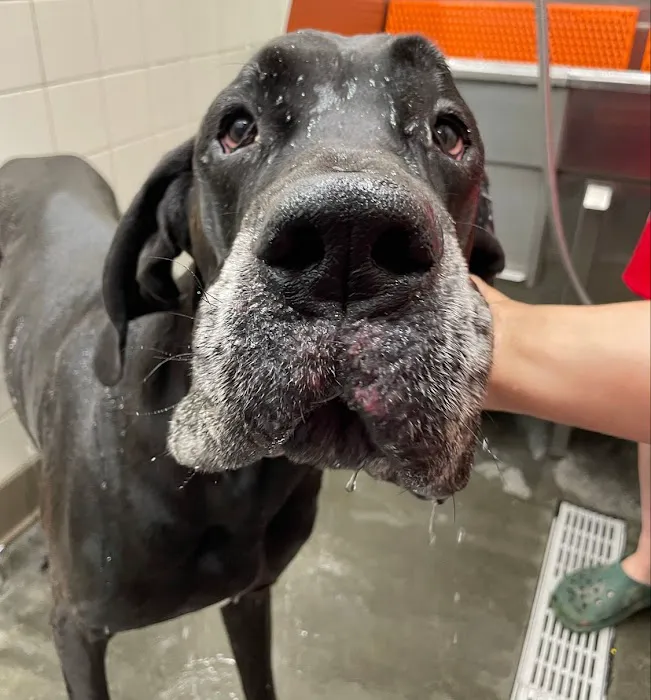 Hollywood Feed Picture 8