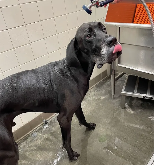 Hollywood Feed Picture 4