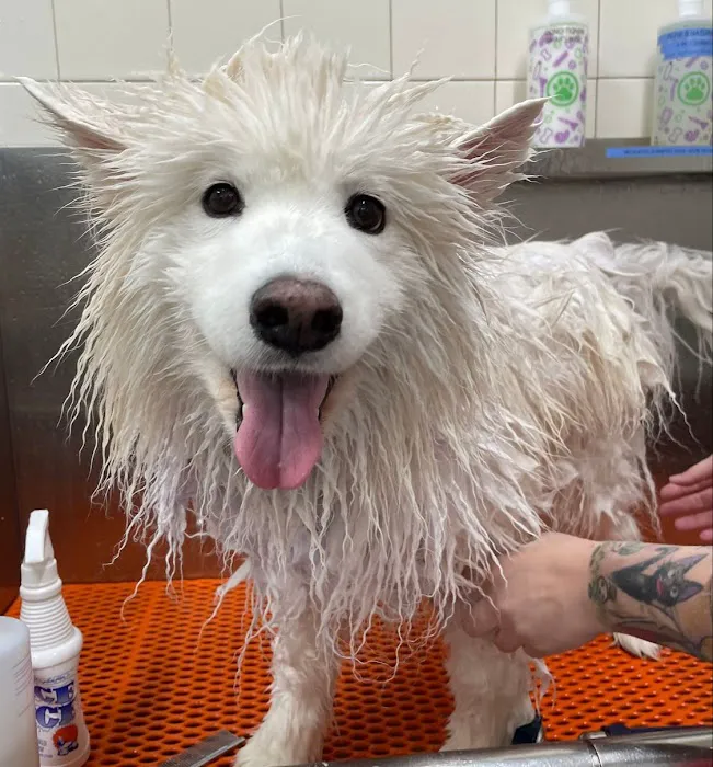 Hollywood Feed Picture 6