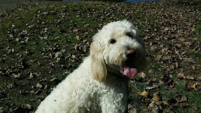 Two Rivers Animal Hospital Picture 6