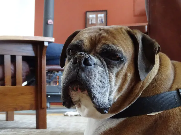 Two Rivers Animal Hospital Picture 1