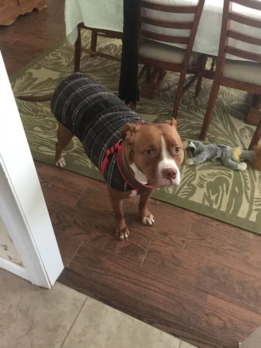 Two Rivers Animal Hospital Picture 4