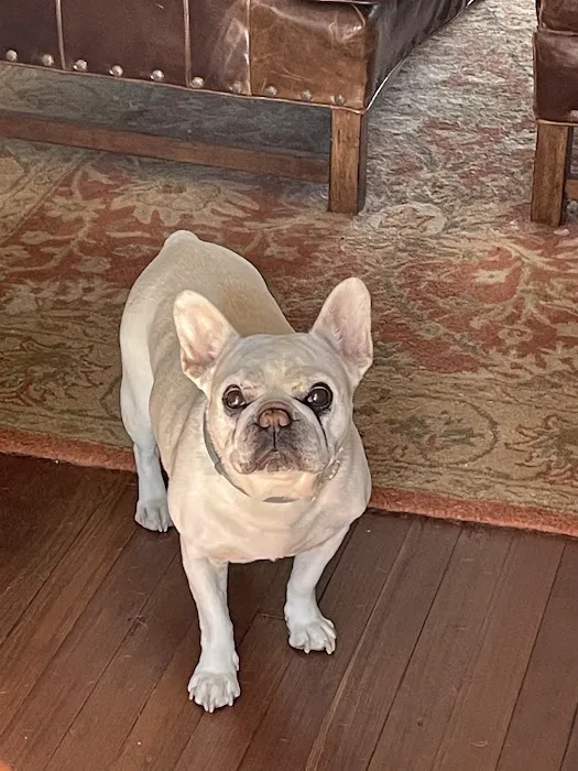 Two Rivers Animal Hospital Picture 5