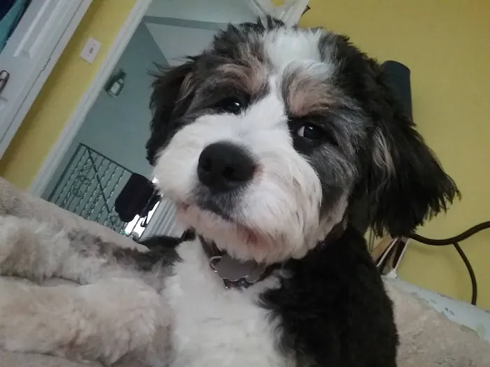 Two Rivers Animal Hospital Picture 8