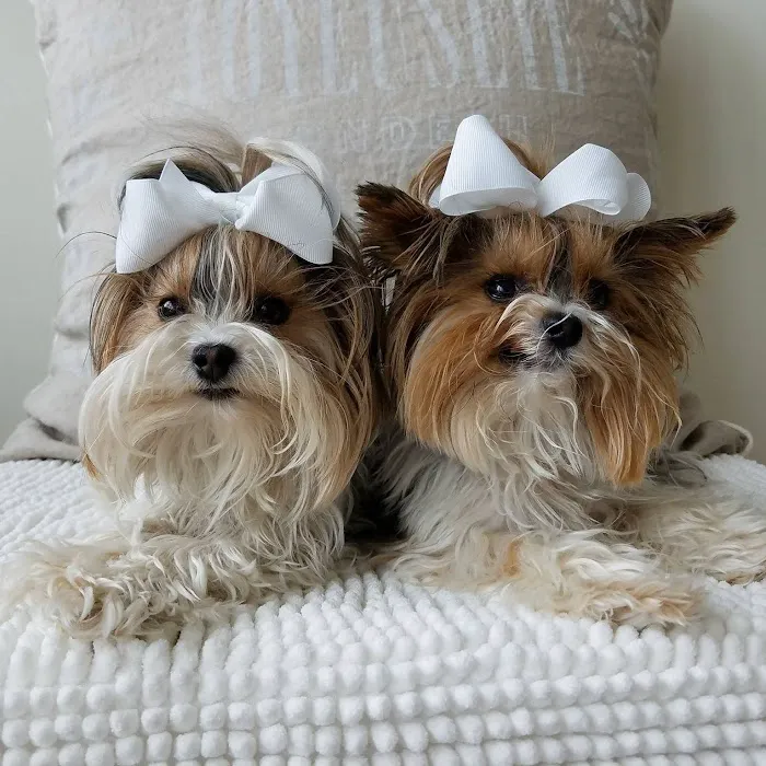 Two Rivers Animal Hospital Picture 3