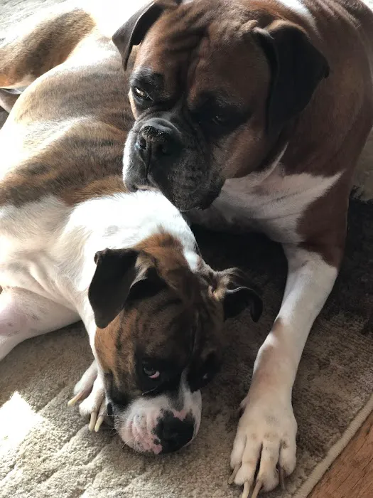 Two Rivers Animal Hospital Picture 2