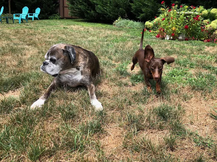 Two Rivers Animal Hospital Picture 7