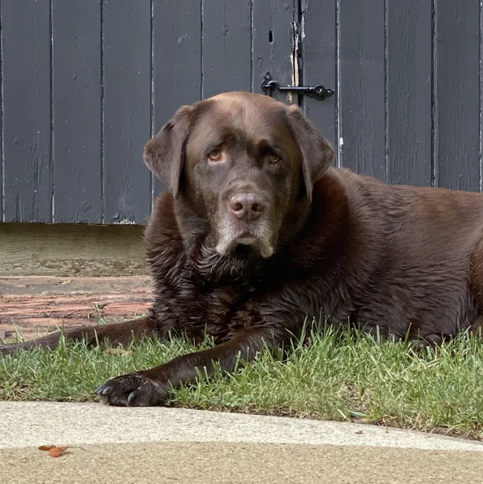 Two Rivers Animal Hospital Picture 10