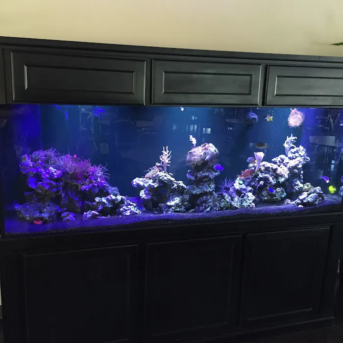 Clearwater Aquarium Services Picture 1