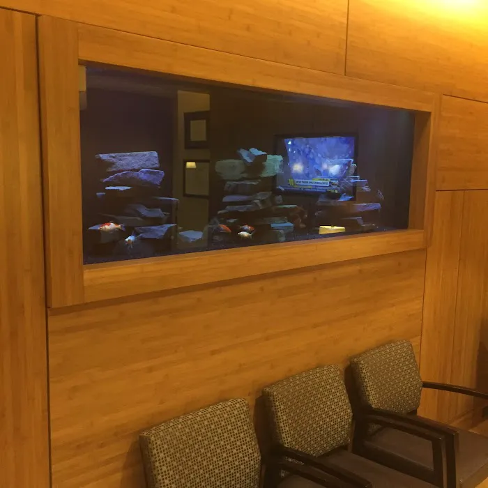 Clearwater Aquarium Services Picture 7